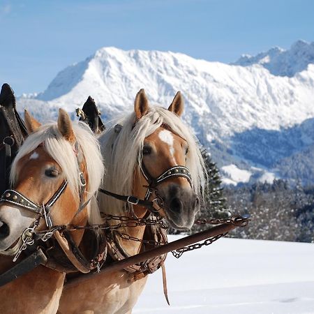 Haus Aigner Apartment Fischen im Allgaeu ภายนอก รูปภาพ